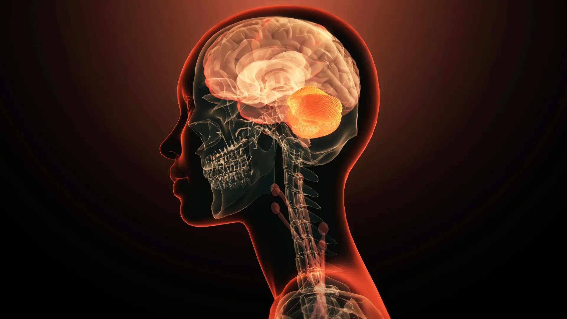 Revolución científica: el cerebelo podría ser clave contra autismo